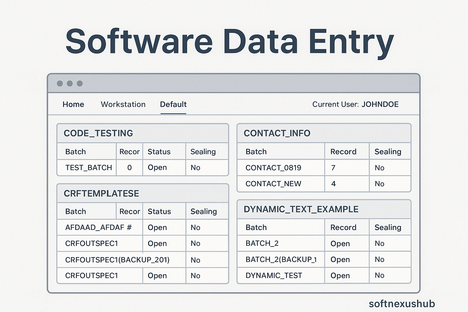software_data_entry